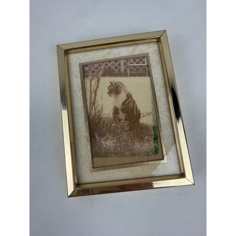 Vintage Sepia Cat Print in‎ Gold Tone Metal Picture Frame 4.75 x 6.25